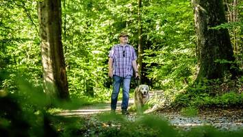 Nach Vorfall mit Wolf in Hamburg: So bleibt das Gassigehen sicher