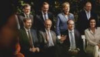 friedrich merz: naja