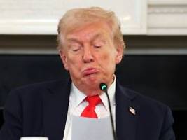 Komitee entschied sich bereits: Donald Trump bekommt wohl nicht den Friedensnobelpreis