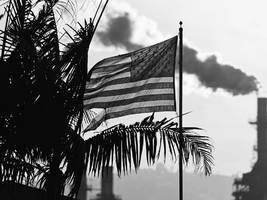 politics: the race to save america’s democracy