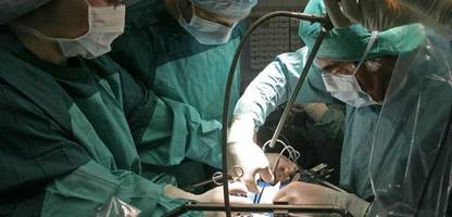 Xenotransplantation: Erstmals Schweineleber in lebenden Patienten transplantiert