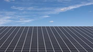 neuer mega-solarpark bei hamburg soll gut für insekten sein