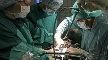 Schweineleber erstmals lebendem Menschen transplantiert
