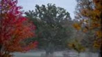 wetter: herbstliches wochenende bringt nebel und sonne