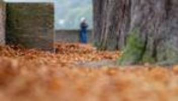 Wetterbericht: Herbst im Südwesten: Nebel am Morgen, Sonne am Nachmittag