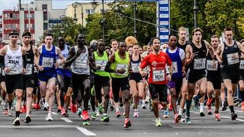topläufer geben einblicke: das macht den great 10k so besonders
