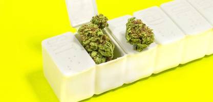 cannabis: der unsinnige kampf gegen gras auf rezept