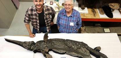 Schwertdrache von Dorset: Neue Meeressaurier-Art identifiziert