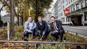 Diese Alster-Seitenstraße ist jetzt Hamburgs neuer Prachtboulevard