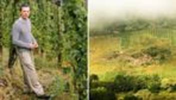 Weinbau: Es ist jedes Jahr eher noch schlimmer gekommen als erwartet