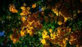 wetter-mix: wechselhaftes wetter: sonne am sonntag, montag trüb und nass