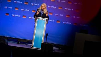 kristin brinker in sporthalle zur afd-spitzenkandidatin gewählt