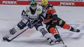 Eisbären: Die Adler-Show beeindruckt nur die anderen