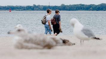 Norddeutsche lieben „ihre“ Ostsee: Studie zeigt emotionale Bindung