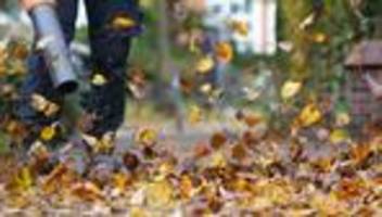 Abfall: Herbstlaub entfernen: Diese Regeln gelten in Sachsen