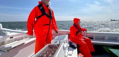 Langzeitbeziehungen: Dieses Paar liebt sich und Helgoland seit fünf Jahrzehnten