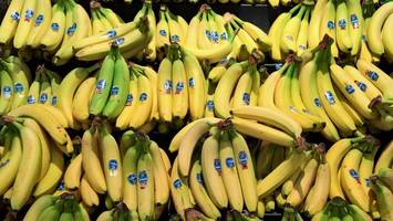 In Italien wird es immer heißer – jetzt werden Bananen angebaut