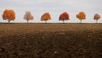 herbstwetter: wetter zu wochenbeginn meist grau - vereinzelt sonne möglich
