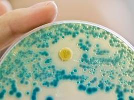 Lebensgefährlicher Trend: Antibiotika-Resistenz schneller als medizinische Entwicklung