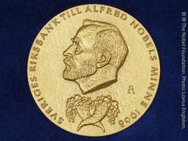 Stockholm: Wirtschaftsnobelpreis für Forschung zu dauerhaftem Wachstum