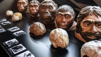 Homo sapiens: Warum sich frühe Menschen anpassen konnten