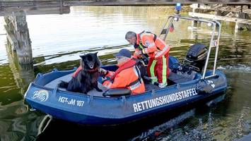 Vermisster Fabian aus Güstrow: Spürhunde schlagen auf See an