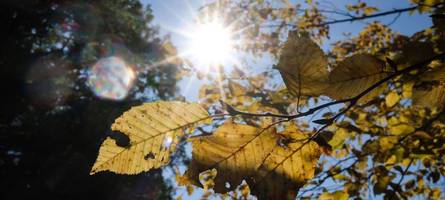 Nebel, Nieselregen, Sonne: Der Herbst zeigt sich von seiner typischsten Seite