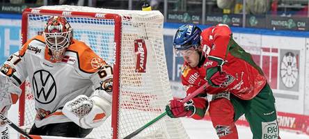 Panther liegen auf Play-off-Kurs: Fünf Gründe für den Höhenflug