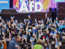 vor dem parteitag in greding: chaos-tage in der bayerischen afd