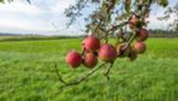 Vorhersage: Nebel und Sonne - DWD erwartet trockenes Herbstwetter
