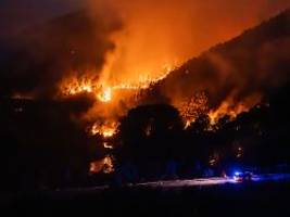 aufforstung hängt hinterher: brände zerstören weltweit waldfläche von der größe Österreichs