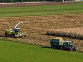 500.000 Beschäftigte: IG BAU fordert 15 Prozent mehr Lohn in der Landwirtschaft
