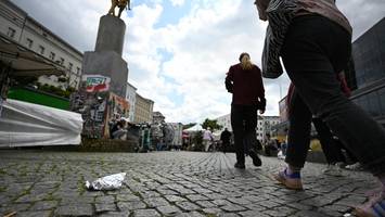 ratten breiten sich in fast allen berliner bezirken aus