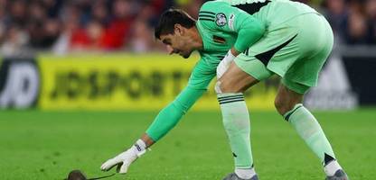 wm-qualifikation: ratte sorgt für spielunterbrechung bei wales gegen belgien