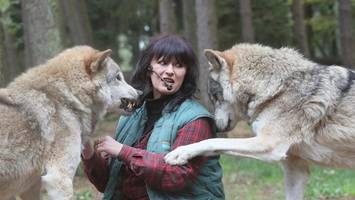 „Völlig irreale Gefahr“: Wie Wolfsexpertin die Lage einschätzt