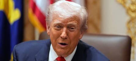 Donald Trump: Hamas wird entwaffnet - notfalls mit Gewalt