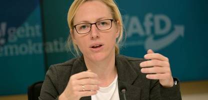teltow in brandenburg: schülerpraktikum bei landes-afd untersagt – schulleiter wird angefeindet