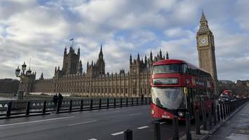 ekelalarm in london – kakerlaken erobern rote kult-busse
