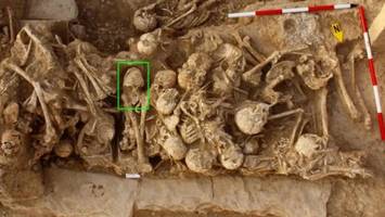geheimnisvoller schädelbruch aus der kupferzeit gibt rätsel auf