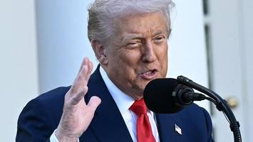 „schnell und vielleicht gewaltsam“ – trump droht hamas mit entwaffnung