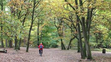 Wälder, Heide und Berge: Per Fahrrad durch den Rosengarten