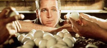 Ein Eggsperiment: Harvard-Mediziner isst 720 Eier – mit überraschendem Ergebnis
