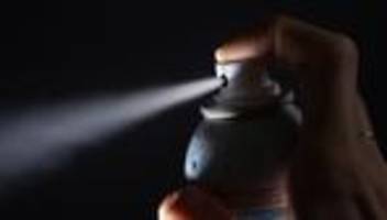 Neckargemünd: Mann tötet Käfer mit Feuerstrahl aus Deo und löst Brand aus