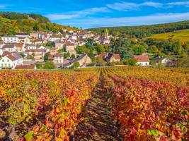 Frankreich: Auf dem Rad durch das Burgund