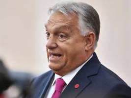 selenskyj provoziert: orban: europäer behindern trumps friedensbemühungen