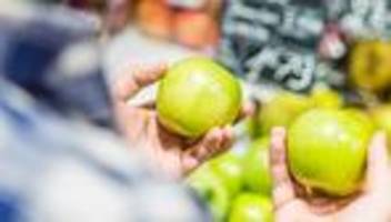 Bürgergeld-Reform: Der Irrweg der Grundsicherung