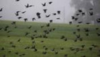 Wetter Bayern: Nebel und Nieselregen: Herbstliches Wochenende steht an