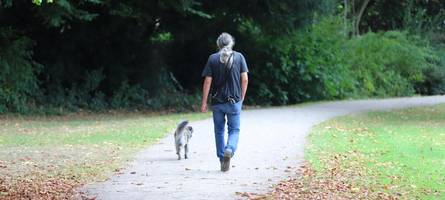 hund vors fahrrad gelaufen: 63-jähriger radfahrer stürzt und verletzt sich
