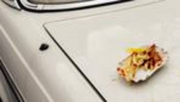 abfall: müll of berlin