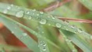 wetter: wechselhaftes wetter zum wochenstart in sachsen-anhalt